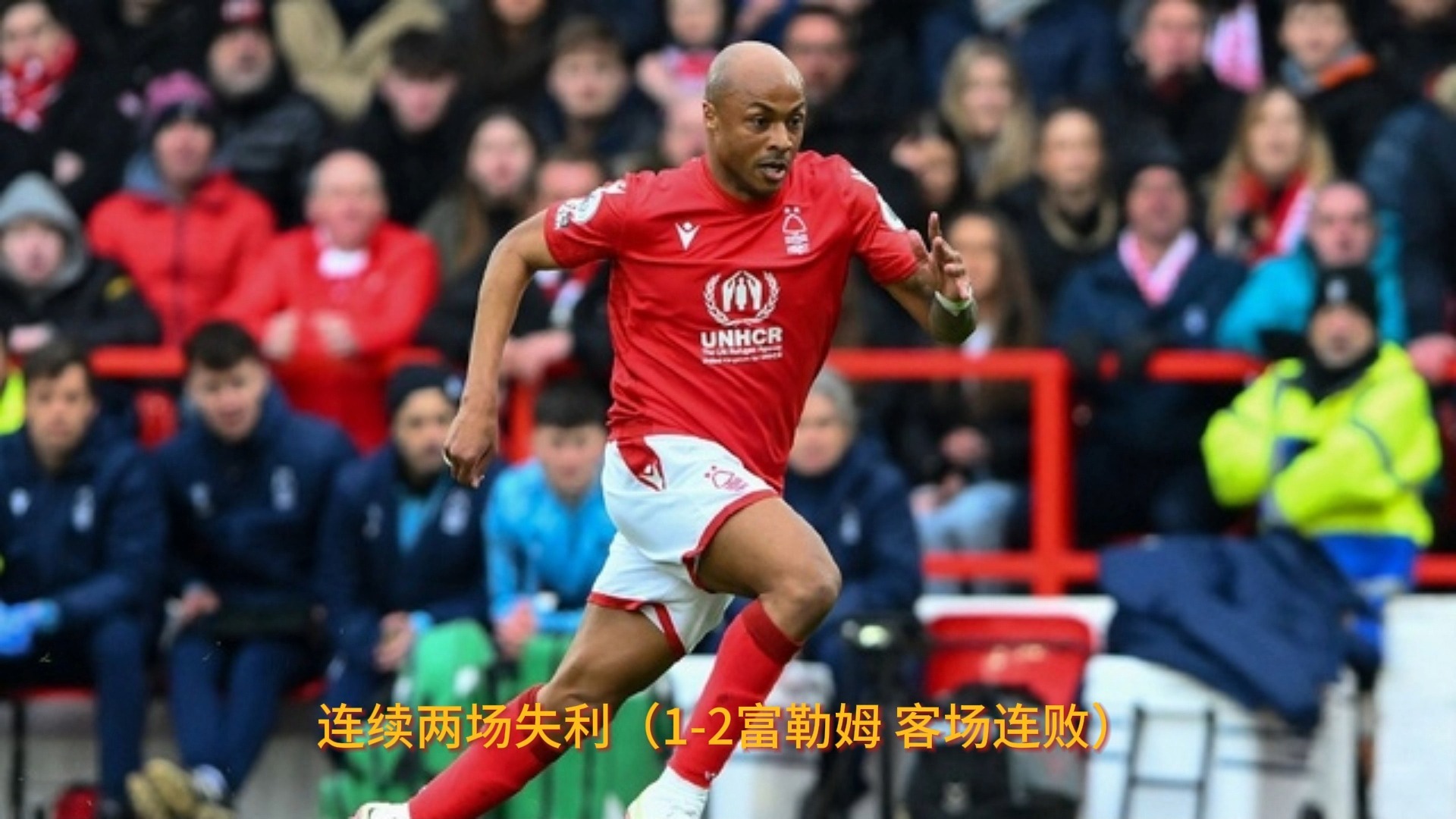 包含诺维奇主场击败纽卡斯尔,英超保级前景一片光明的词条 包含诺维奇主场击败纽卡斯尔,英超保级前景一片光明的词条