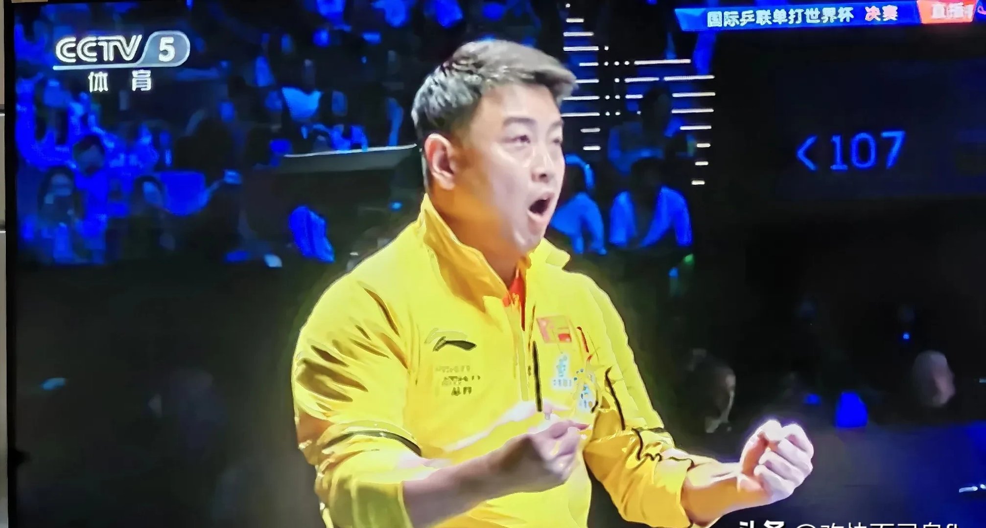 英国乒乓球队血洗奥地利乒乓球队，王皓爆发神勇的简单介绍