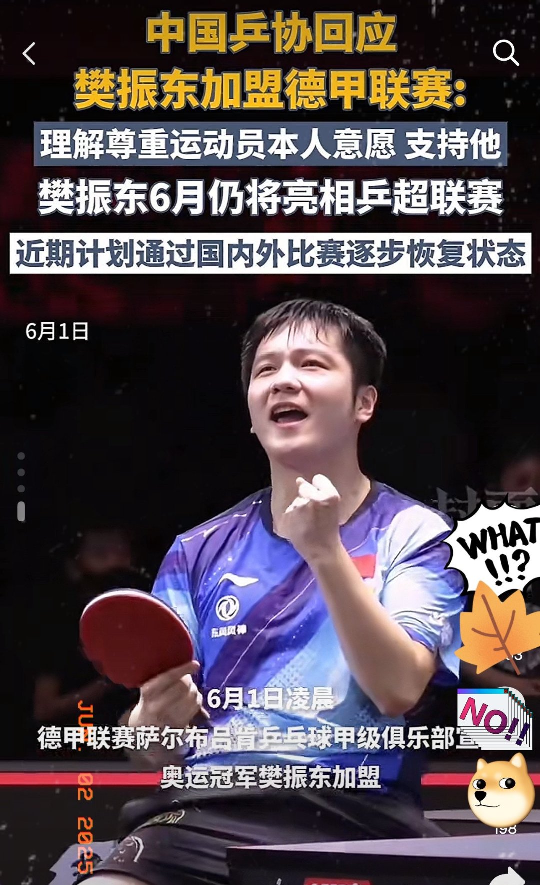 奥地利乒乓球队横扫德国乒乓球队，樊振东制霸全场的简单介绍